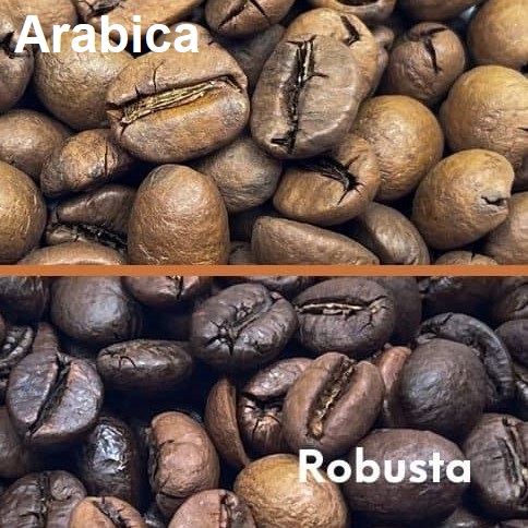 Arabica cofee and robusta cofee