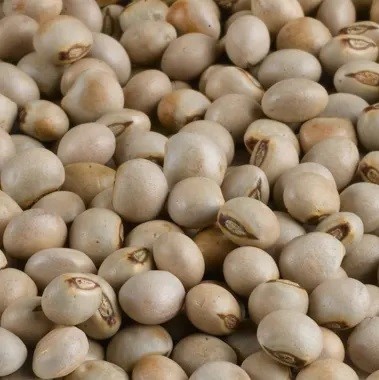 Pigeon Peas manufacturers