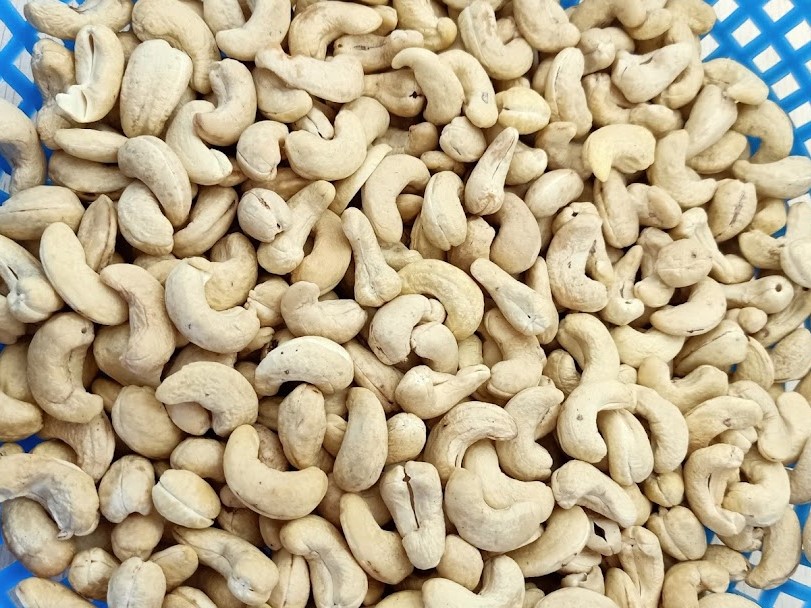 cashew nuts for sale