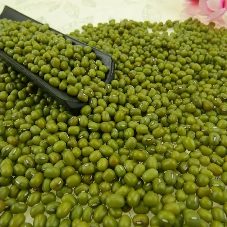 Green Mung Beans  for sale